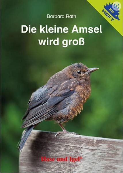 cover-kleine-amsel